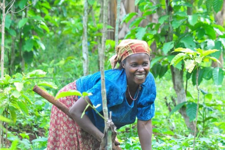 Decolonising our language – questioning the idea of ‘subsistence farming’