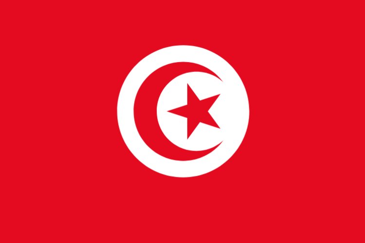 Fuel-laden ship sinks off Tunisia coast: authorities