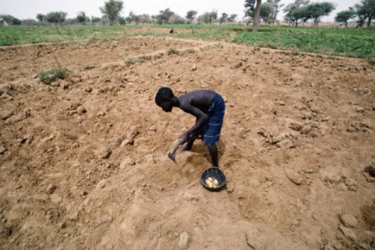 UN says 20 million risk starvation as horn of Africa drought worsens