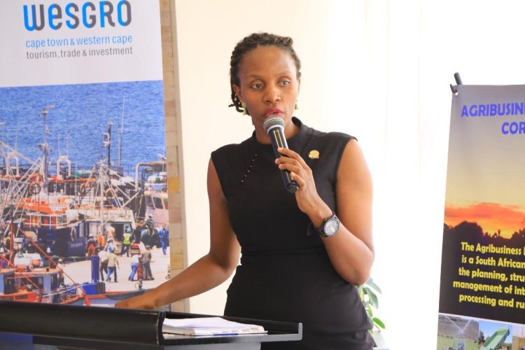 Uganda Pursues South African Investors