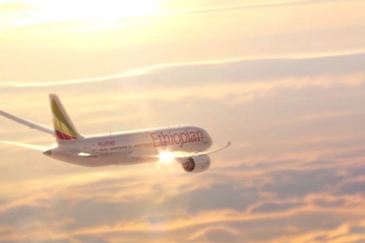 Ethiopian Airlines suspends pilots who missed landing because they fell asleep
