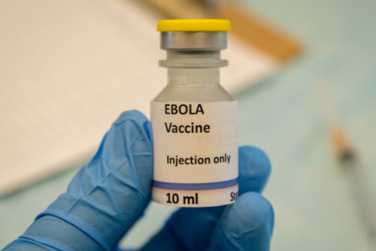 DRC declares end to Ebola virus outbreak after six weeks