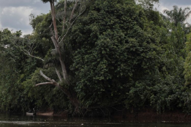 African climate summit opens in DR Congo