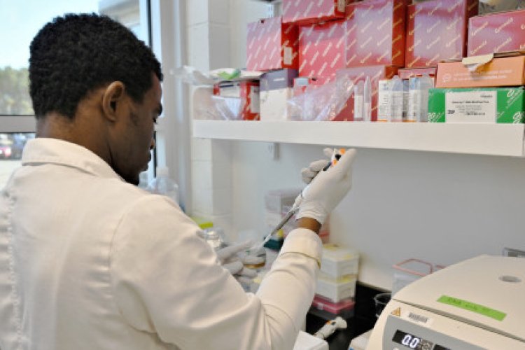 African students face tough battle for Canada visas