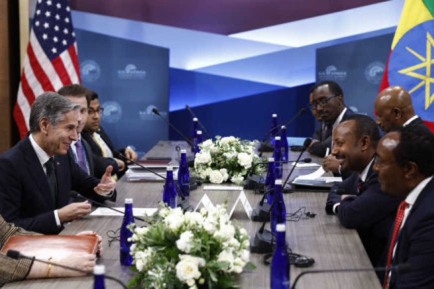 Rolling red carpet to Africans, US warns of 'destabilising' China, Russia