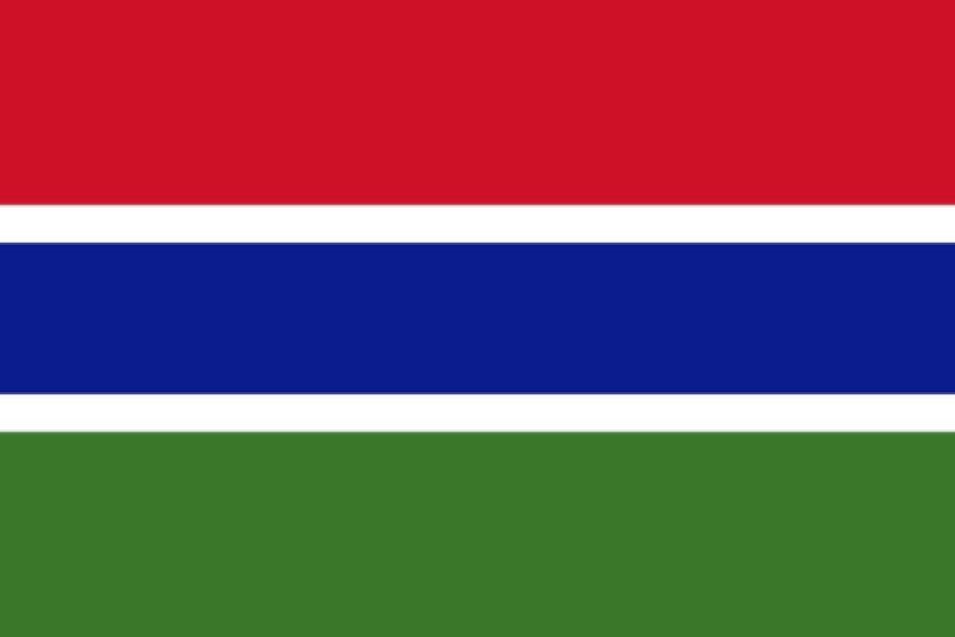 Gambia probes coup bid and arrests more soldiers