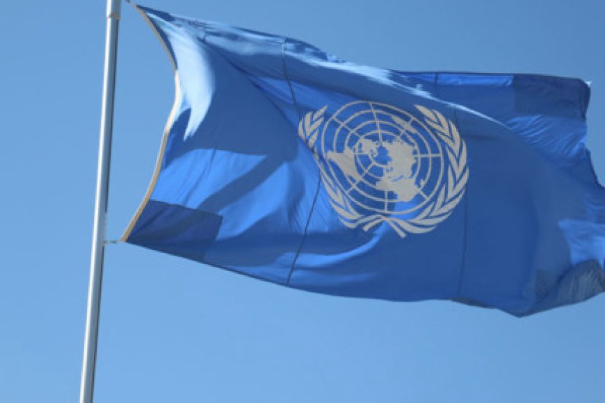 UN's Mali mission 'unsustainable' without troop surge, says draft report