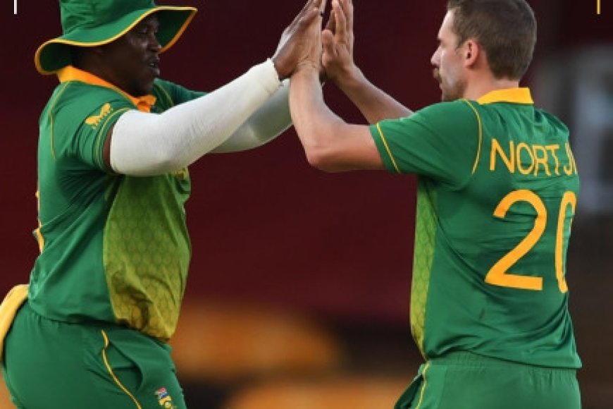 Fast and furious South Africa triumph as England collapse