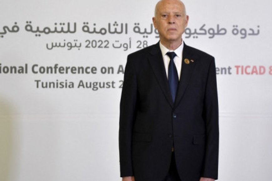 African Union condemns Tunisian president's 'shocking' statement on migrants