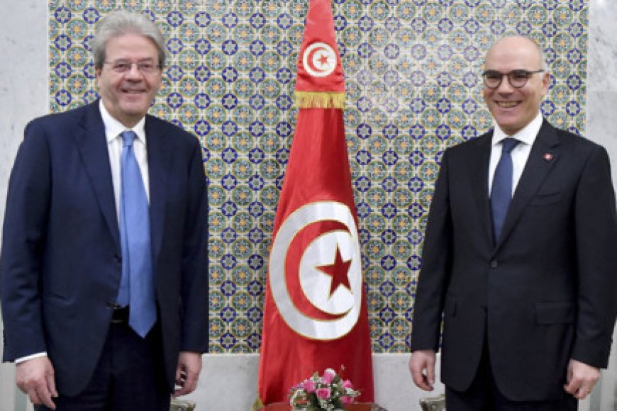 Crisis-hit Tunisia urges 'more understanding' from Europe