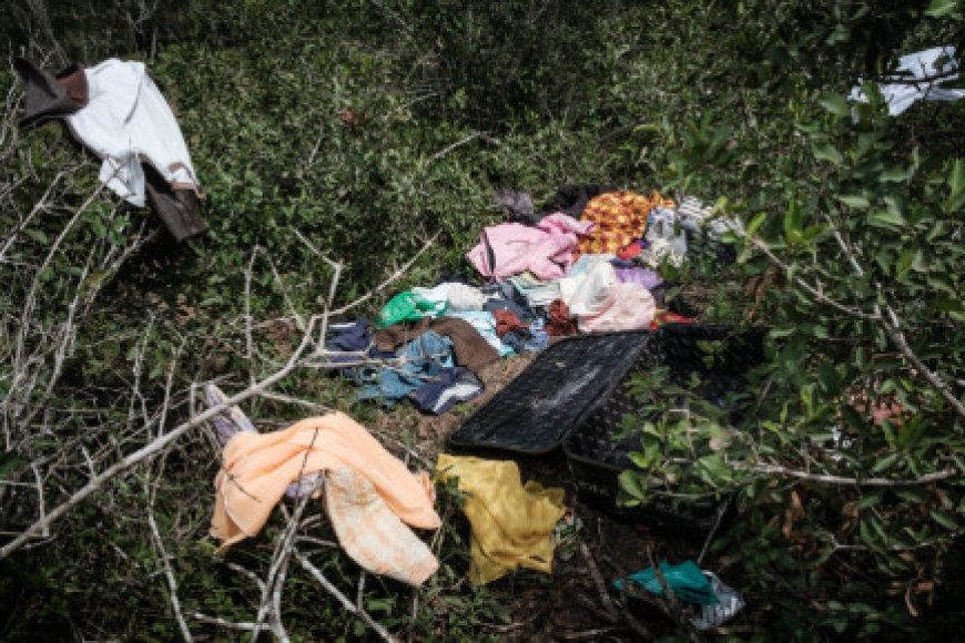 Kenya fears more starvation cult victims as search resumes