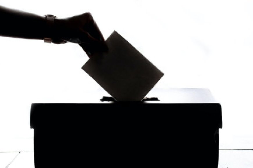 EU vote observers reject Zimbabwe bribe report