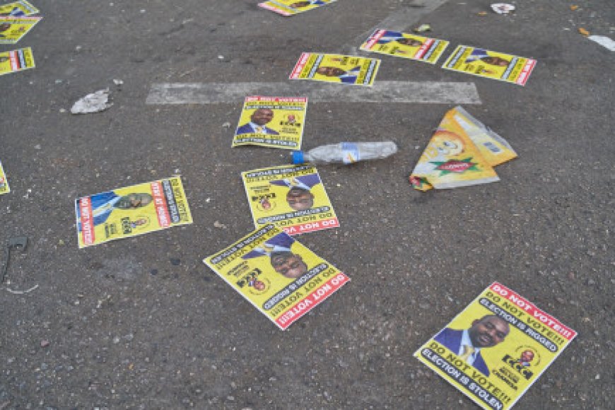 Zimbabwe high stakes vote spills into day two as opposition alleges rigging