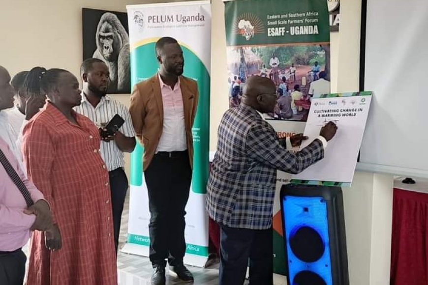 Cultivating Change in a Warming World: A New Project to Benefit Adjumani , Soroti, Apac, and Amuria Districts