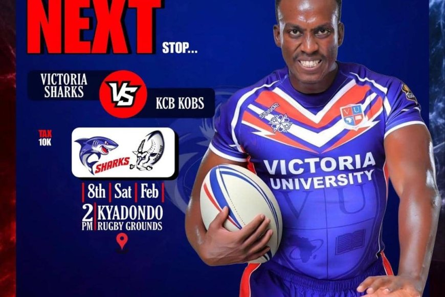 VICTORIA SHARKS SET TO OBLITERATE KOBS IN A RUGBY WAR LIKE NO OTHER